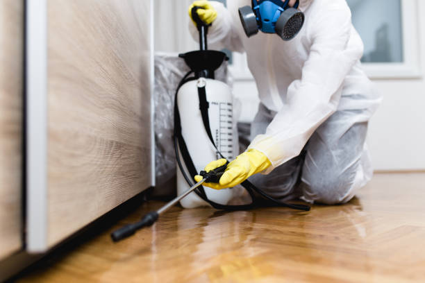 Best Residential Pest Control  in Martindale, TX