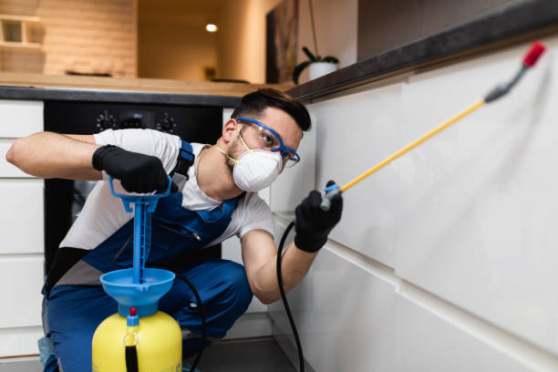 Trusted Martindale, TX Pest Control Experts