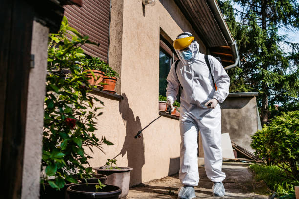 Best Bed Bug Extermination  in Martindale, TX