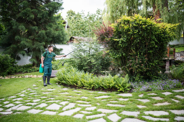 Best Ant Control Services  in Martindale, TX