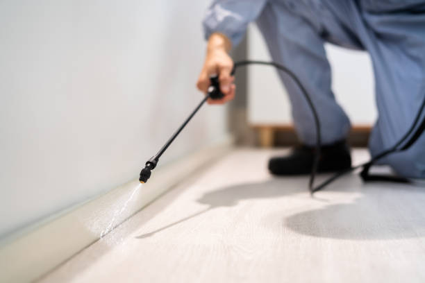 Best Pest Prevention Services  in Martindale, TX