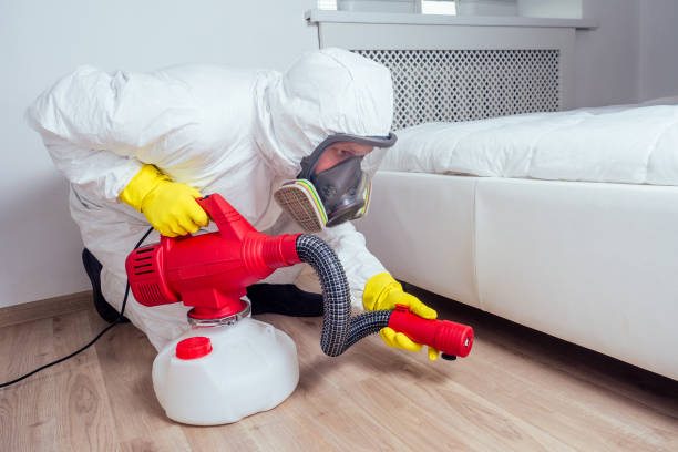 Best Local Pest Control Services  in Martindale, TX