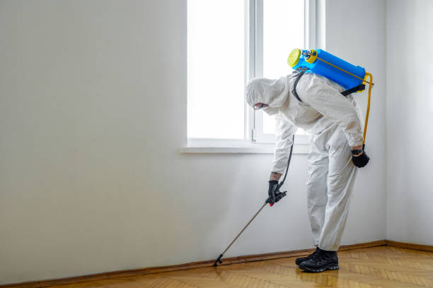 Best Flea Control Services  in Martindale, TX