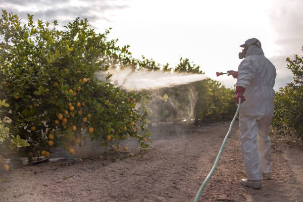 Best Best Pest Control Companies  in Martindale, TX