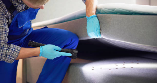 Best Cockroach Control Services  in Martindale, TX