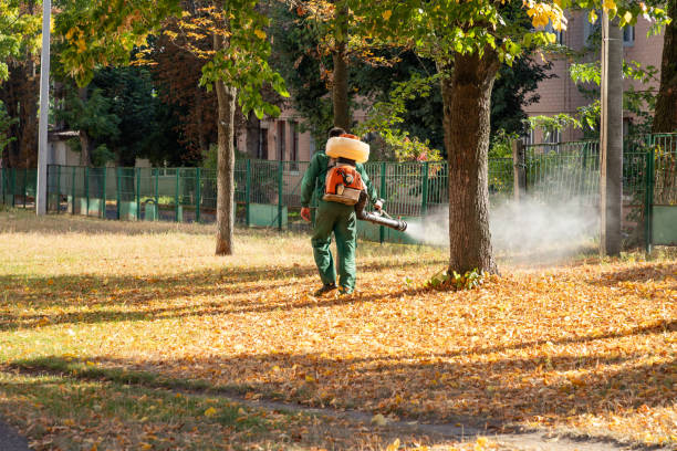 Best Wasp Removal Services  in Martindale, TX