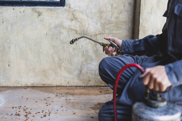 Best Termite Control Services  in Martindale, TX