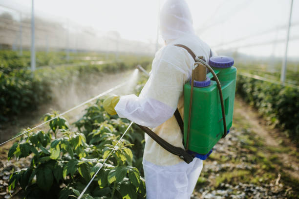 Best Pest Inspection Near Me  in Martindale, TX